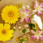DSCF3495