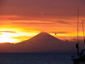 2月5日ブログ写真