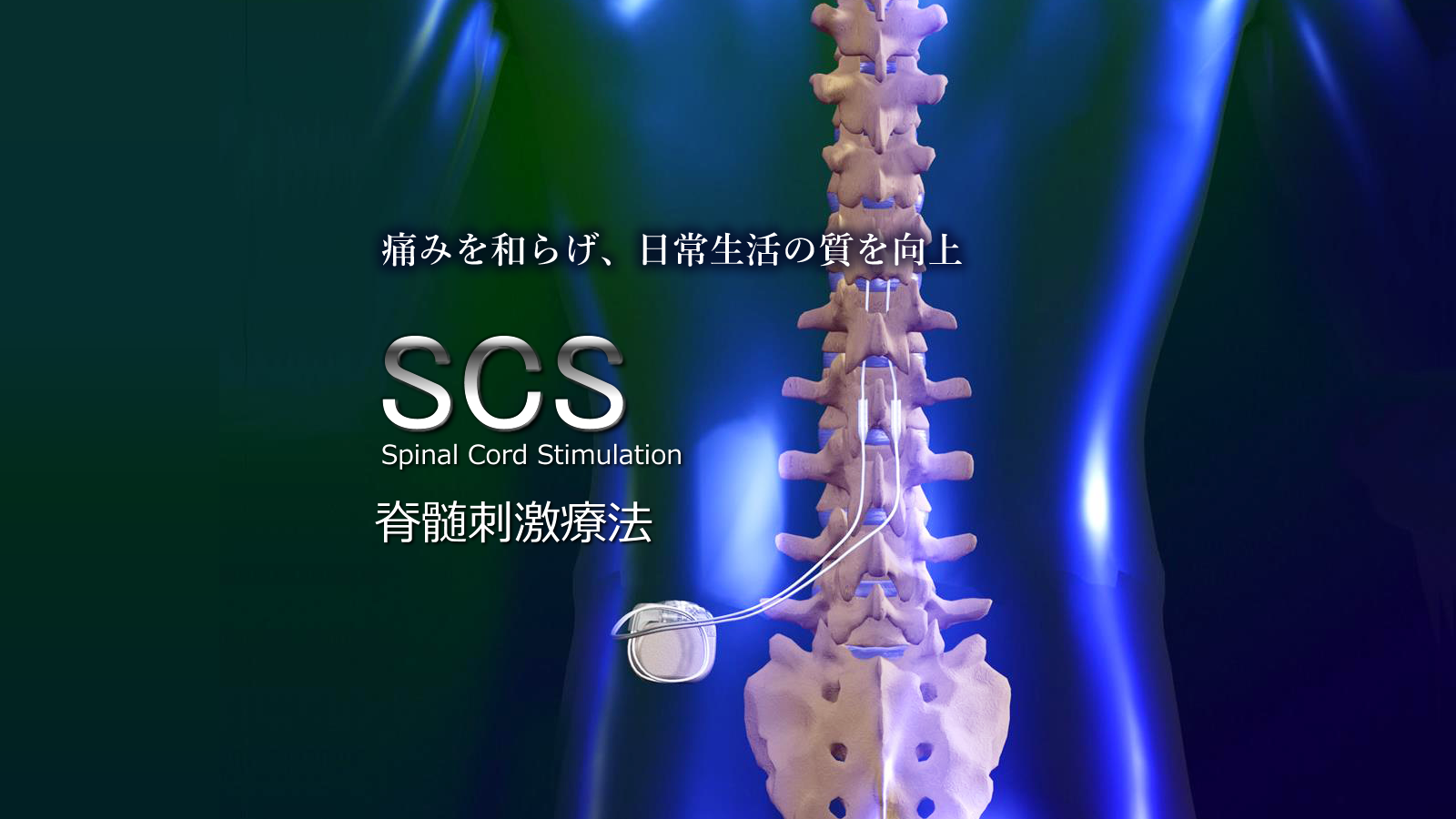 症状特化型専門院の戦略 国立おざわのコンセプト | 国立おざわの銀座院 鍼治療＜鍼治療